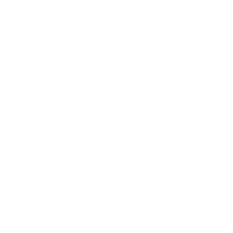 icon-01-2