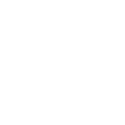 icon-03-2