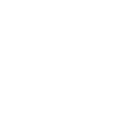 icon-04-2